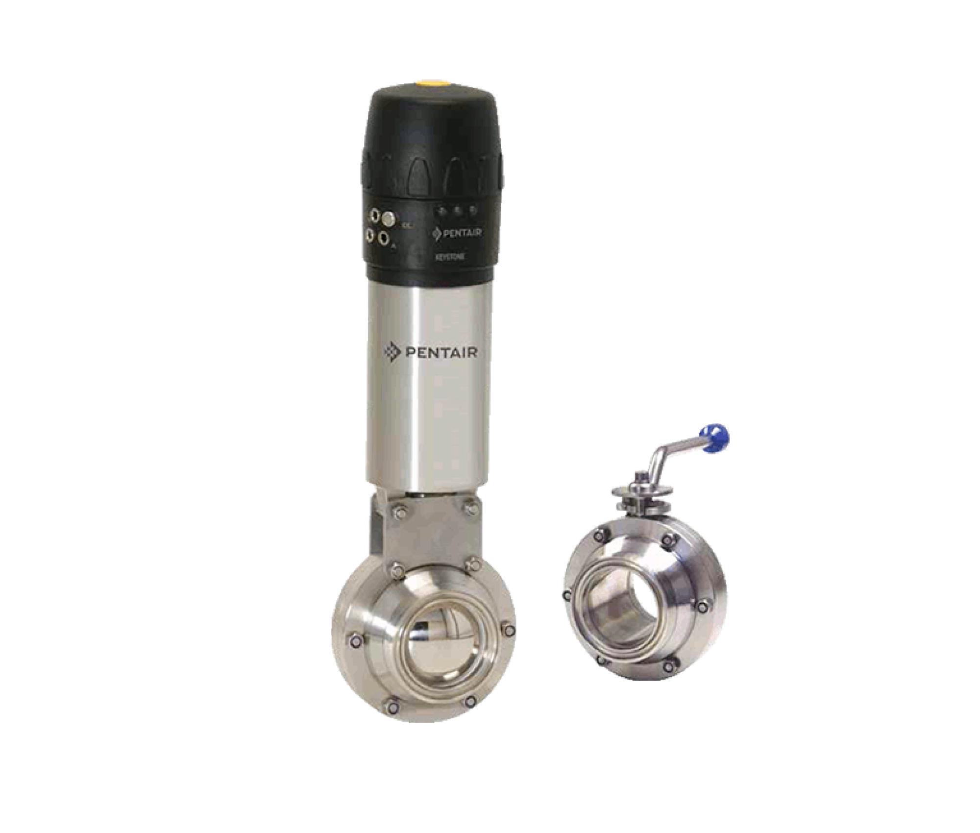 STAINLESS STEEL BALL VALVES F262